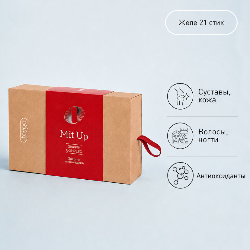 T MIT UP mdash это функциональный продукт здорового питания, который ориентирован на улучшение работы митохондриального пула клетки. 

Основные действующие компоненты T ERA MIT UP ndash это концентрированный экстракт граната и SibXP Сomplex.

Чем полезен для митохондрий гранатовый сок?


	Сок граната ndash один из наиболее богатых природных источников полифеноловых соединений, которые называются эллаготаннинами. В нашем кишечнике они быстро распадаются с образованием эллаговой кислоты. Микробиота тонкого кишечника перерабатывает ее и в результате получается вещество под названием уролитин А.
	Уролитин А критически необходим для поддержания здоровья митохондриального пула во всех клетках нашего организма. Это соединение инициирует процессы митофагии ndash разрушения поврежденных в результате оксидативного стресса митохондрий. После чего в клетке начинают интенсивно образовываться новые, полноценные митохондрии, способные вырабатывать большее количество энергии. Исследованиями было продемонстрировано, что дефицит уролитина А ndash один из важных факторов преждевременного клеточного старения по причине недостаточного энергоснабжения клеток большинства органов. Кроме того, в эксперименте приток уролитина А достоверно улучшал переносимость физических и умственных нагрузок за счет улучшения выработки энергии в митохондриях.


Чем полезны для митохондрий полипренолы?


	Второй компонент T ERA MIT UP ndash это комплекс SibXP, содержащий полипренолы, клеточный сок пихты и хвойную пасту CGNC. Для поддержания нормальной работы митохондриального пула и обеспечения адекватной выработки энергии прежде всего важны антиоксидантные свойства полипренолов. В ходе синтеза молекул АТФ на мембранах митохондрий образуются свободные радикалы. И чем выше стрессовые условия, в которых работают митохондрии, тем больше появляется таких веществ. Свободные радикалы повреждают и сами мембраны, и внутренние митохондриальные структуры, ухудшая их функции и со временем приводя к гибели митохондрии. Полипренолы химически связывают свободные радикалы, тем самым нейтрализуя их агрессивность


Как употреблять T ERA MIT UP?

Поддержать здоровье митохондрий в каждой клетке вашего организма вам поможет всего  саше T ERA MIT UP, принятое утром за  минут до еды. Это обеспечит вам приток сил и энергии, которых хватит и для продуктивного рабочего дня, и для насыщенного вечера с семьей или друзьями.

Рекомендация по применению:

 саше утром за  минут ДО еды

Состав: Гидролизат коллагена, вода очищенная, SibXP Complex, экстракт граната, соковый концентрат граната (уролитин А), натуральный экстракт стевии

Количество саше в упаковке:  шт по  гр.

Вес нетто:  гр.