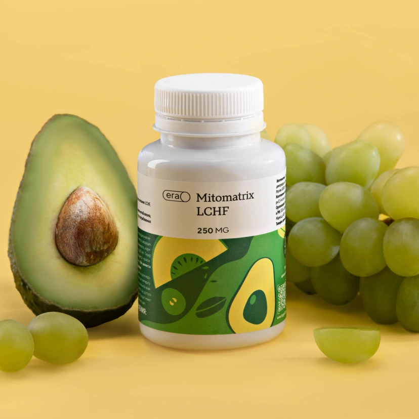ERA Mitomatrix LCHF mdash это инновационный пищевой комплекс, созданный специально для перехода на стиль питания LCHF.

Входящие в комплекс компоненты способствуют ускорению метаболизма, помогают контролировать чувство голода, снижают количество потребляемых калорий, позволяя поддерживать активность и сохранять баланс энергии в течение дня.

Описание продукта ERA Mitomatrix LCHF

Основной задачей ERA Mitomatrix LCHF является поддержка организма на всех этапах адаптации к низкоуглеводному высокожировому питанию LCHF. Продукт помогает постоянно придерживаться питания LCHF и при этом предотвратить возможные негативные эффекты от изменения рациона. ERA Mitomatrix LCHF способствует повышению уровня энергии организма, выносливости,  улучшению самочувствия и снижению массы тела за счет эффективного использования жиров в качестве основного источника энергии.

Переход на низкоуглеводный стиль питания LCHF может сопровождаться такими временными симптомами, как усталость, снижение концентрации, головные боли, головокружения, слабость. Это связано с перестройкой метаболизма и снижением уровня инсулина из-за уменьшения в рационе количества углеводов.

ERA Mitomatrix LCHF призван поддержать организм на всех этапах адаптации к низкоуглеводному высокожировому рациону. Комплекс помогает минимизировать дискомфорт и обеспечить стабильный уровень энергии благодаря:


	Поддержке митохондриального здоровья.
	Усилению выработки АТФ (энергии) в клетках.
	Антиоксидантной защите организма на клеточном уровне.
	Снижению чувства голода и поддержанию метаболической активности.


В составе ERA Mitomatrix LCHF - матриксные экстракты, полученные по уникальной технологии, обогащенные антиоксидантами для улучшения клеточного метаболизма. Матриксные экстракты в - раз более концентрированные, чем обычные экстракты и постепенно насыщают клетки ценными нутриентами, что способствует укреплению организма и поддержанию митохондриального здоровья.

Полезные свойства компонентов

Входящие в ERA Mitomatrix LCHF компоненты:


	способствуют поддержке метаболизма, ускорению обмена веществ и эффективному сжиганию жиров
	способствуют контролю аппетита, помогают снизить чувство голода, что упрощает переход и поддержание стиля питания LCHF
	способствуют поддержке энергетического обмена, стимулируют выработку энергии за счет улучшенного усвоения жиров
	способствуют атниоксидантной защите клеток от разрушительного воздействия окислительного стресса
	способствуют улучшению общего самочувствия, поддержке организма при адаптации к высокожировому рациону LCHF.


Активные компоненты

Матриксные экстракты:


	Плодов авокадо: источник полезных жиров и антиоксидантов, поддерживающих метаболизм.
	Ореха макадамии: содержит мононенасыщенные жиры, улучшающие работу сердца и сосудов.
	Семян дыни: способствует нормализации обмена веществ.
	Ядер фисташки: содержит аминокислоты и жирные кислоты, поддерживающие энергетический баланс.
	Зародышей пшеницы: источник витаминов и минералов для клеточного метаболизма.
	Косточек винограда: содержит полифенолы, защищающие клетки от окислительного стресса.
	Семян льна: богатые омега- жирными кислотами для улучшения работы сердца и сосудов.


Матриксные экстракты обогащены по инновационной технологии кверцетином и ликопином для улучшения клеточного метаболизма.
Кверцетин -  мощный антиоксидант, снижающий воспалительные процессы.
Ликопин -  поддерживает здоровье сердечно-сосудистой системы и защищает клетки от повреждений.

Как продукт влияет на MITO (митохондрии)

ERA Mitomatrix LCHF поддерживает здоровье митохондрий, которые являются основными энергетическими станциями клеток. Матриксные экстракты питают митохондрии и защищают их от окислительного стресса. Входящие в комплекс жиры легко усваиваются митохондриями благодаря улучшенной транспортировке активных компонентов. Это способствует повышению выработки АТФ mdash основного источника энергии в клетках.

Кверцетин и ликопин защищают митохондрии от окислительного стресса, предотвращая повреждение клеток и сохраняя их активность. Таким образом, комплекс не только способствует сжиганию жиров, но и повышает энергетический потенциал организма.

Способ применения продукта

Рекомендации по применению:  раза в день, на голодный желудок по  капсул за  минут до завтрака и по  капсул за , часа до сна.

Противопоказания: индивидуальная непереносимость компонентов, входящих в состав продукта, беременность, кормление грудью, возраст до  лет. Перед применением рекомендуется проконсультироваться со специалистом.

 

Состав

Матриксные экстракты: плодов авокадо, ореха макадамии, семян дыни, ядер фисташки, зародышей пшеницы, косточек винограда, семян льна, кверцетин, ликопин. 

Объем / Масса

 г ( капсул по  мг)

Пищевая и энергетическая ценность

Пищевая ценность на  гр: белки -  г, углеводы -  г, жиры -  г. Энергетическая ценность на  гр:  ккал/, кДж. В одной капсуле - , ккал/, кДж.

Условия хранения и срок годности

Условия хранения: хранить в сухом недоступном для детей месте при температуре не выше  degС и относительной влажности воздуха не более  % без доступа прямых солнечных лучей.
Продукт может естественным образом менять цвет.

Срок годности:  года. После вскрытия хранить не более  месяцев.