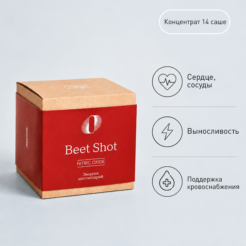 T BEET SHOT mdash это концентрат на основе свеклы, усиленный экстрактами расторопши, гинкго билоба, карнитином, биотином, таурином и витаминами группы В. Предназначен для профилактики сердечно-сосудистых заболеваний, увеличения энергии в митохондриях, улучшения выносливости, поддержания работоспособности сердца во время повышенных нагрузок.

Описание продукта

T BEET SHOT (Т Бит Шот) mdash это продукт на основе концентрата свеклы. Основная польза свеклы для организма в том, что входящий в нее бетанин  активизирует синтез оксида азота. Оксид азота улучшает кровоснабжение, повышает уровень кислорода в крови. Он помогает регулировать мозговой кровоток, способствует расширению кровеносных сосудов, предотвращая их спазмы и снижая давление. Также оксид азота влияет на свертываемость крови, помогает компенсировать возрастающую во время физической активности потребность мышц и тканей в кислороде. Один из способов, как укрепить сердце ndash это увеличить в своем питании количество блюд из свеклы.

Полезные свойства компонентов


	Компоненты T BEET SHOT (Т Бит Шот) улучшают выработку в организме оксида азота, благодаря чему могут улучшаться показатели силы и выносливости при повышенных нагрузках.
	Улучшают кровоснабжение сердца, мозга, мышц.
	Помогают митохондриям вырабатывать больше энергии.
	В T BEET SHOT входят укрепляющие нервную систему витамины группы В. 
	Компоненты продукта улучшают работу печени, обладают антиоксидантной активностью.
	Компоненты T BEET SHOT (Т Бит Шот) воздействуют на организм, как проверенные народные средства для укрепления сосудов, помогая поддерживать здоровье сердечно-сосудистой системы и улучшая кроветворение.


Активные компоненты


	Бетанин ndash это основной компонент продукта T BEET SHOT. Доказанная учеными польза свеклы для организма человека заключается в том, что свекольный сок содержит бетанин, который преобразуются в организме человека в оксид азота. Оксид азота расширяет сосуды, улучшает микроциркуляцию крови, повышает уровень кислорода в крови. Это способствует снижению артериального давления и улучшает переносимость нагрузок. Кроме того, оксид азота важен для усвоения глюкозы мышцами и правильного мышечного сокращения.
	Таурин защищает клеточные мембраны от повреждений, участвует в восстановлении и образовании новых клеток, помогает восстановиться после нагрузок.
	Экстракт гинкго билоба в T BEET SHOT помогает решить задачу,  как улучшить кровоснабжение мозга, способствуя насыщению его клеток кислородом и питательными веществами.
	Карнитин ускоряет процессы восстановления нервной системы, помогает повысить работоспособность и выносливость организма.
	Силимарин (экстракт расторопши) защищает клетки от агрессивного воздействия свободных радикалов, оказывает противовоспалительный эффект, обладает гепатопротекиторными свойствами.
	Лавитол (дигидрокверцитин) обладает высокой антиоксидантной активностью.
	Витамины группы В: никотинамид (В), пантотенат кальция (В), пиридоксина гидрохлорид (В), тиамина мононитрат (В), рибофлавин (В), фолиевая кислота (В), биотин (В), цианокобаламин (В) помогают нормализовать состояние нервной и сердечно-сосудистой систем, гармонизировать метаболизм, важны для здорового кроветворения и других ключевых процессов.


Как продукт влияет на MITO (митохондрии)

T BEET SHOT стимулирует синтез оксида азота в организме. В свою очередь, оксид азота обеспечивает усвоение глюкозы мышечными клетками и стимулирует рост митохондрий. 

Также T BEET SHOT обладает антиоксидантными свойствами, помогает бороться с последствиями окислительного стресса, защищает митохондрии от разрушения агрессивными свободными радикалами.

Способ применения продукта

Способ применения продукта: взрослым  пакет-саше развести в  мл воды и употреблять  раз в день во время еды. Продолжительность приема  месяц.

Противопоказания: индивидуальная непереносимость компонентов, беременность и период лактации. Перед применением рекомендуется проконсультироваться с врачом.

БАД. Не является лекарственным средством.

Свидетельство о государственной регистрации № АМ.....R... от ..г

Состав

Состав: свекла порошок, эритритол (носитель), пектин яблочный (загуститель), таурин, лимонная кислота (регулятор кислотности), карнитин, глицин, аргинина гидрохлорид, калия хлорид, силимарин (расторопши экстракт), гинкго билоба, лавитол, никотинамид, пантотенат кальция, пиридоксина гидрохлорид, тиамина мононитрат, рибофлавин, фолиевая кислота, биотин, цианокобаламин.

Прием рекомендуемой суточной дозы -  саше-пакета ( г) T BEET SHOT обеспечит поступление:


	
		
			Наименование показателя
			Количество, мг
			% от РСП/АУП
		
		
			Витамин В
			,
			
		
		
			Витамин В
			,
			
		
		
			Витамин В
			,
			
		
		
			Витамин В
			,
			
		
		
			Витамин В
			,
			
		
		
			Витамин В
			,
			
		
		
			Витамин В
			,
			
		
		
			Биотин
			,
			
		
		
			Таурин
			
			
		
		
			Карнитин
			
			
		
		
			Силимарин
			
			
		
		
			Дигидрокверцетин
			,
			
		
	


РСПndash рекомендуемый суточный уровень потребления согласно ТР ТС / (приложение ).
АУП ndash адекватный уровень потребления согласно единым требованиям ЕАЭС (приложение )

Объем / Масса

 г. ( порций-саше по  г).

Пищевая и энергетическая ценность

Пищевая ценность на г продукта/ на  саше-пакет (г): белки - г/, г, жиры - ,г/, г, углеводы -  г/, г. 
Энергетическая ценность на  г продукта:  кДж/ ккал на  саше-пакет (г):  кДж/ ккал.

Условия хранения и срок годности

Условия хранения: хранить в сухом, защищенном от прямых солнечных лучей и недоступном для детей месте при температуре от degС до degС.

Срок годности:  год.